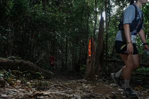 BIB: 
                            <button type="button" onclick="openModal(25986223)" class="btn btn-primary btn-sm float-right btn-popup" data-toggle="modal" data-target=".modal-high-quality">
                        <i class="fas fa-shopping-cart"></i> Add to Cart
                    </button>
                                            <button type="button" onclick="isThisMe(25986223, true)" class="btn btn-success btn-sm float-right btn-popup btn-isme hidden" data-toggle="tooltip" data-placement="bottom" title="นี่คือรูปของคุณใช่ไหม คลิกที่นี่เพื่อเอาเข้าอัลบั้ม">
                        <i class="fas fa-plus"></i> Add to album
                    </button>
                    <button type="button" onclick="isThisMe(25986223, false)" class="btn btn-warning btn-sm float-right btn-popup btn-isnotme hidden">
                        <i class="fas fa-ban"></i> Remove from album
                    </button>